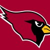 Arizona_Cardinals2