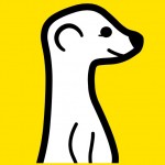 meerkat